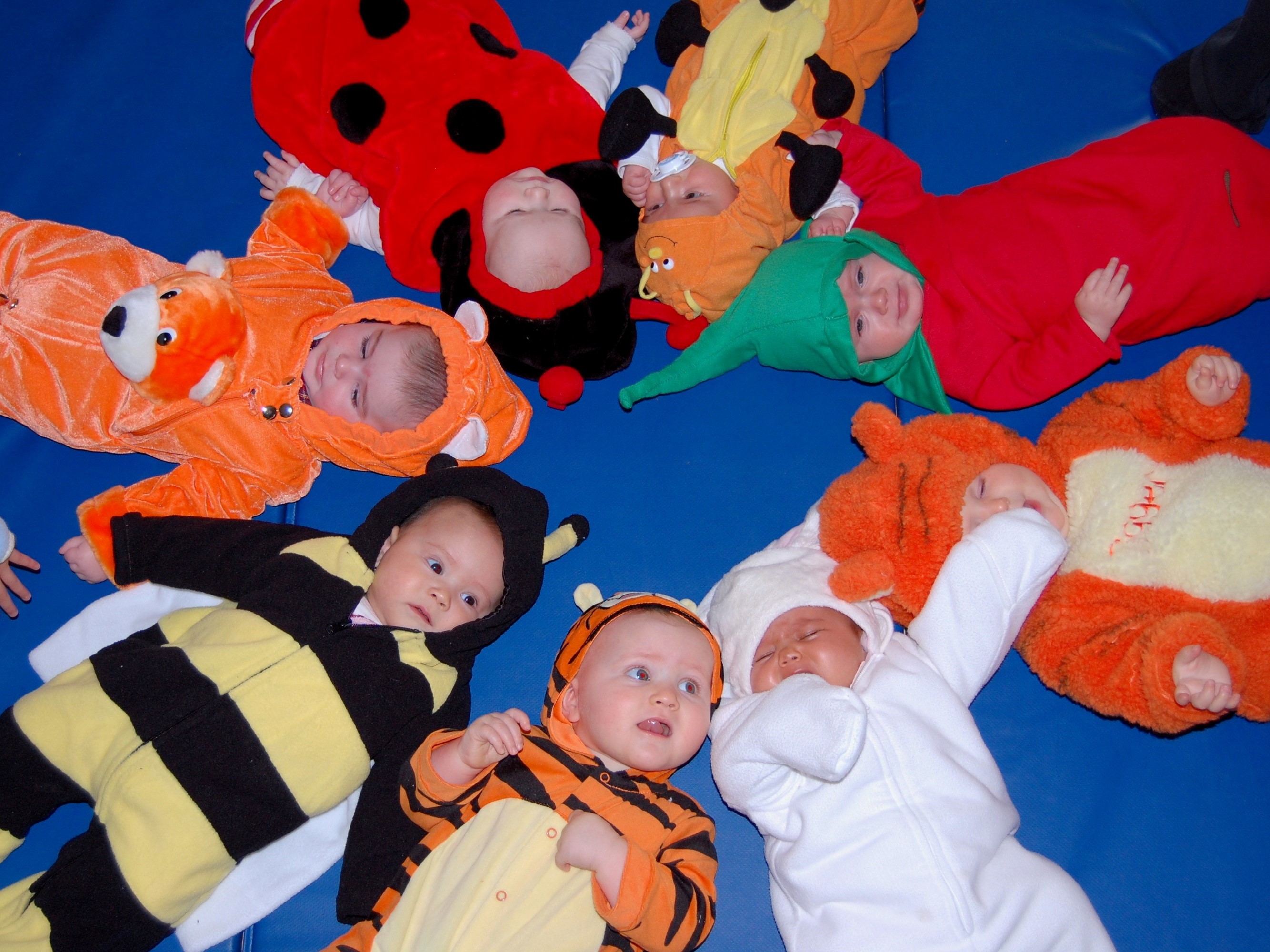 Babies in halloween costumes